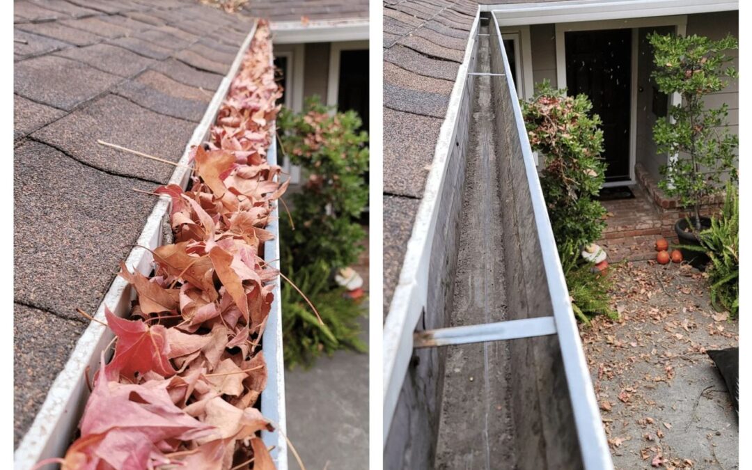 How To Protect Your Gutters From Fall Leaves