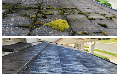 Moss Isn’t the Only Thing That Can Void Your Roof Warranty