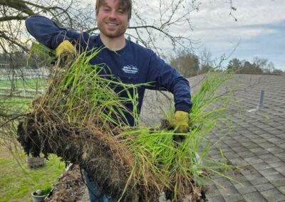 gutter cleaning services