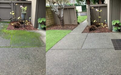 New Home Pressure Washing in Sacramento: Which Wash Your Surfaces Actually Need