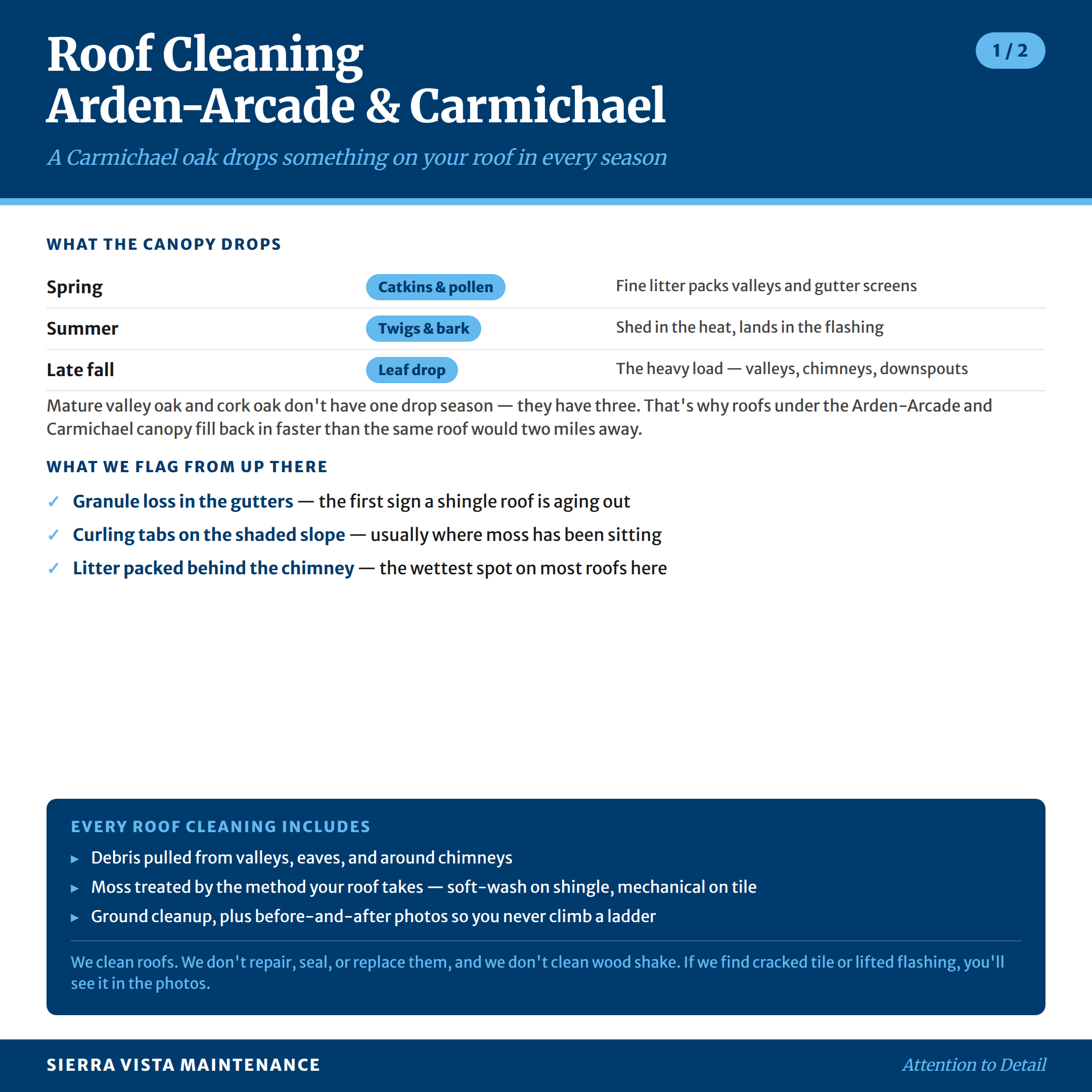 Roof Cleaning in Arden-Arcade and Carmichael: A Carmichael oak drops something on your roof in every season