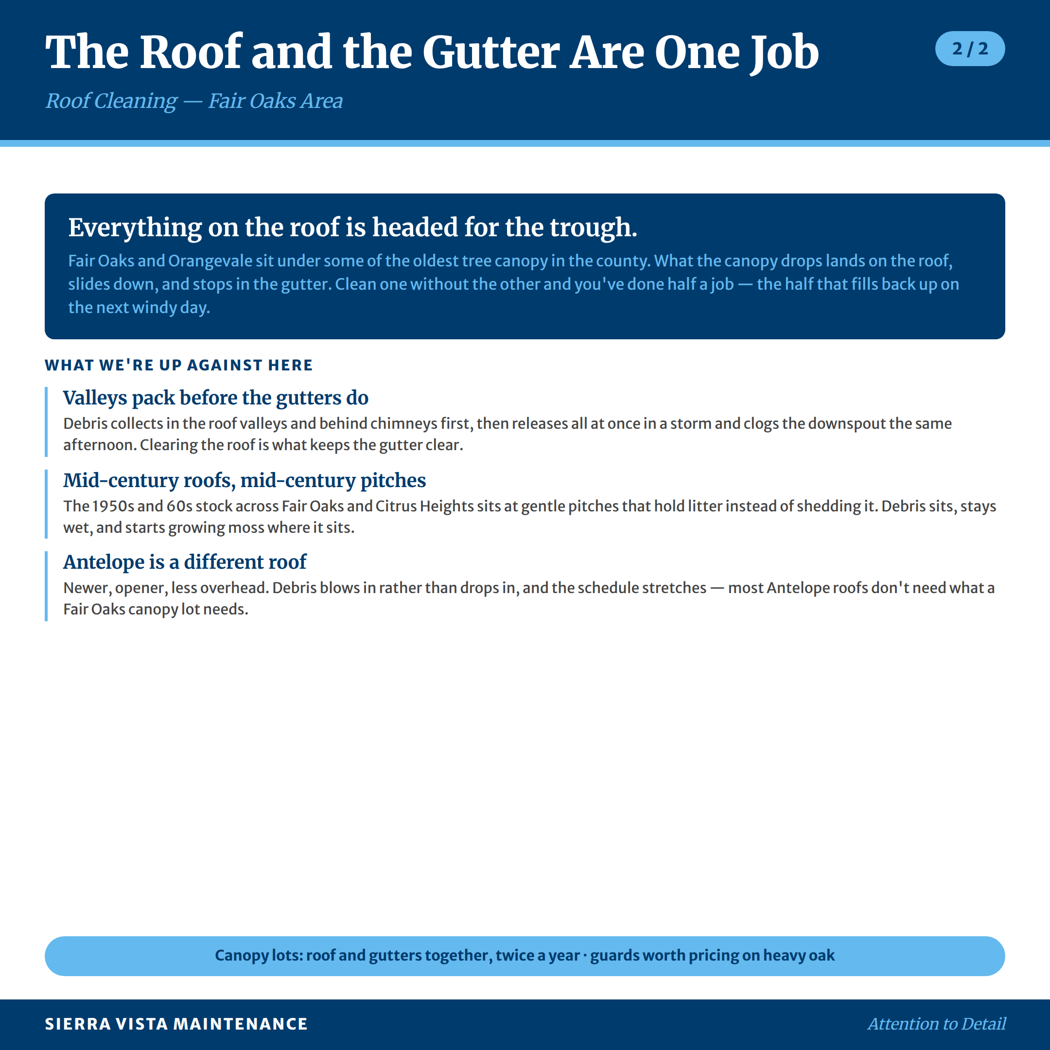 Roof Cleaning in Fair Oaks, Orangevale, Citrus Heights and Antelope: What we're up against