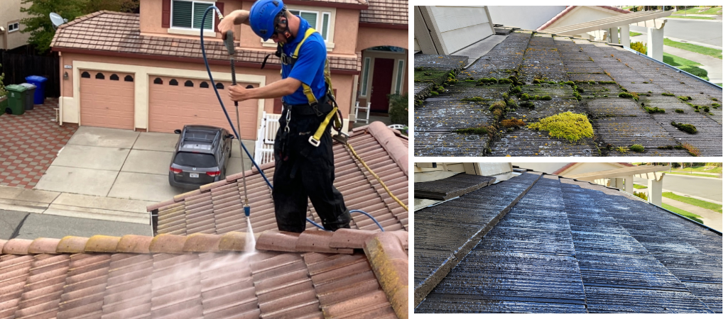 Roof Cleaning Services in the Elk Grove Area