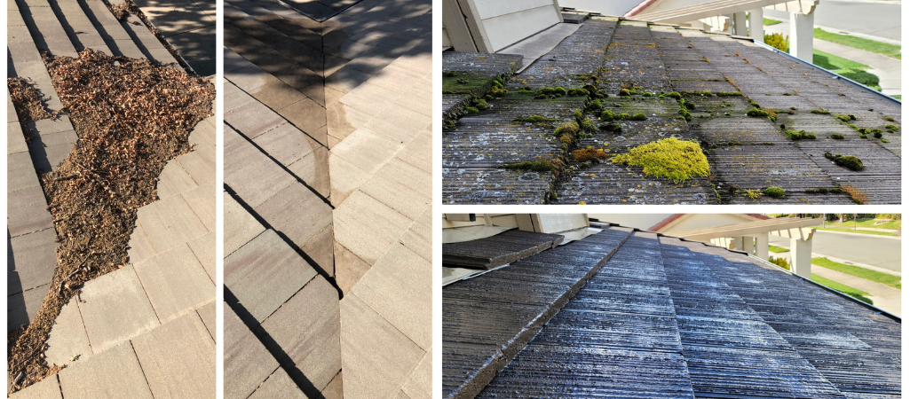 Roof Cleaning Services in Placerville and El Dorado County