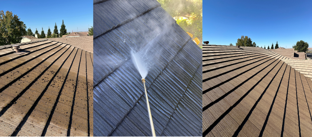 Roof Cleaning Services in Arden-Arcade and Carmichael