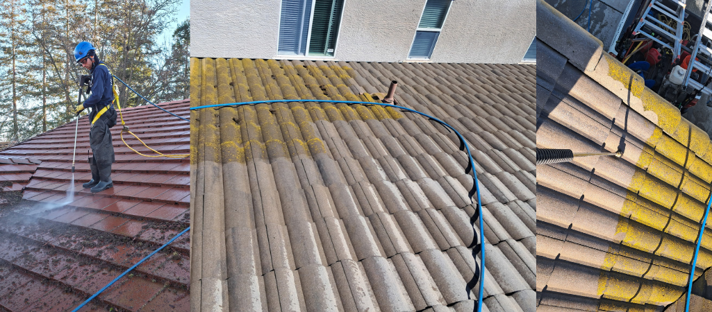 Roof Cleaning Services in the Rancho Cordova Area