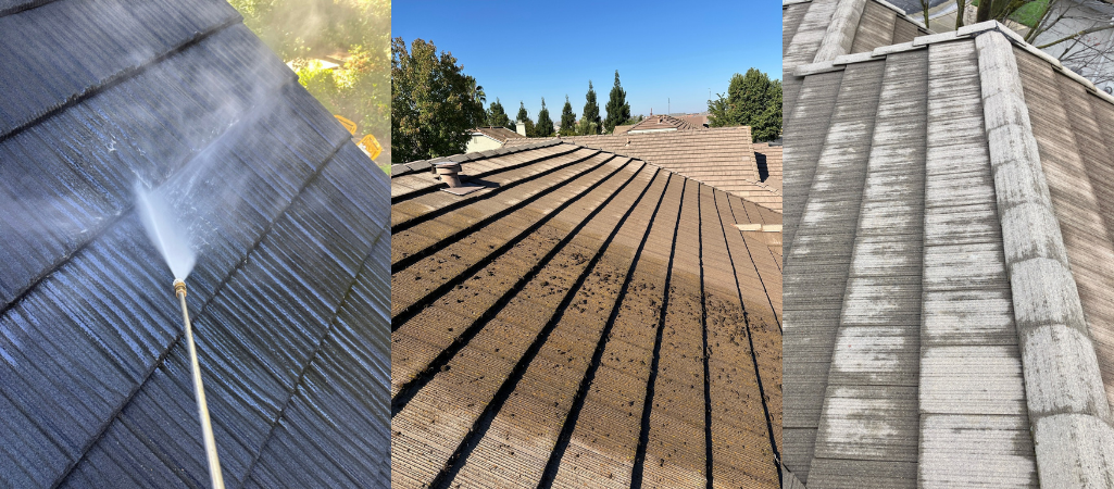 Roof Cleaning Services in North Sacramento