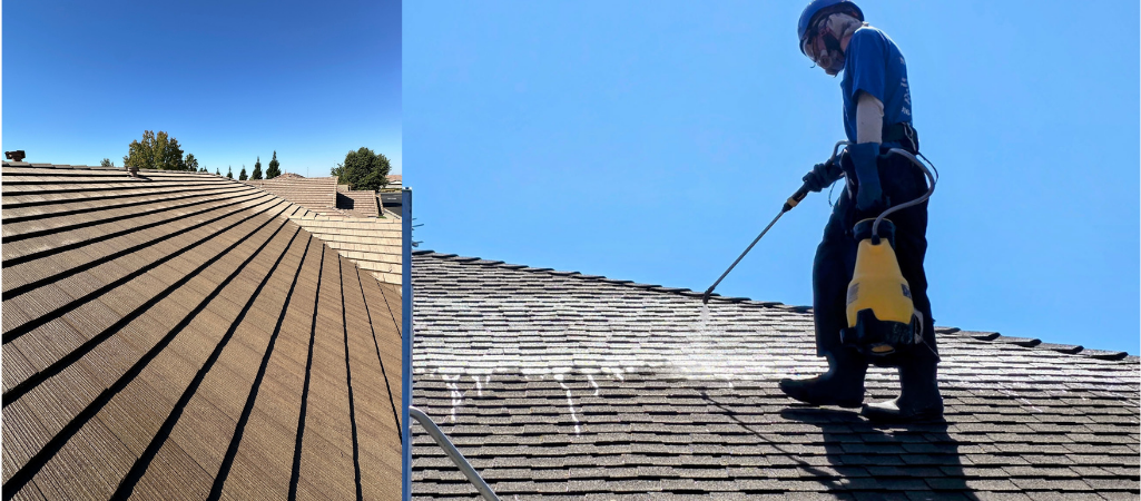 Roof Cleaning Services in South Sacramento