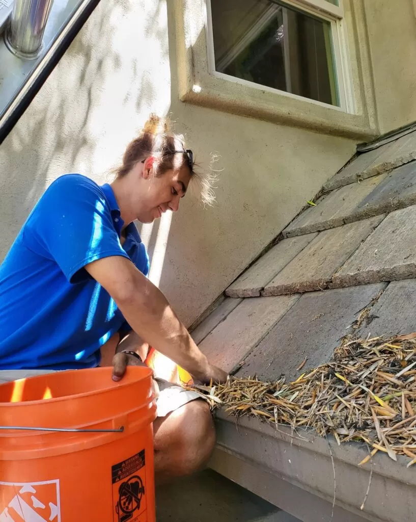 Gutter Cleaning Discount, Pressure Wash Discount, & More! How to Save Time & Money When Hiring Professionals Downside Of Cleaning Your Gutters Yourself