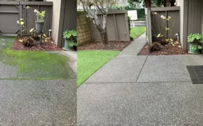 Pressure Washing in Sacramento: Which Wash Your Surfaces Actually Need
