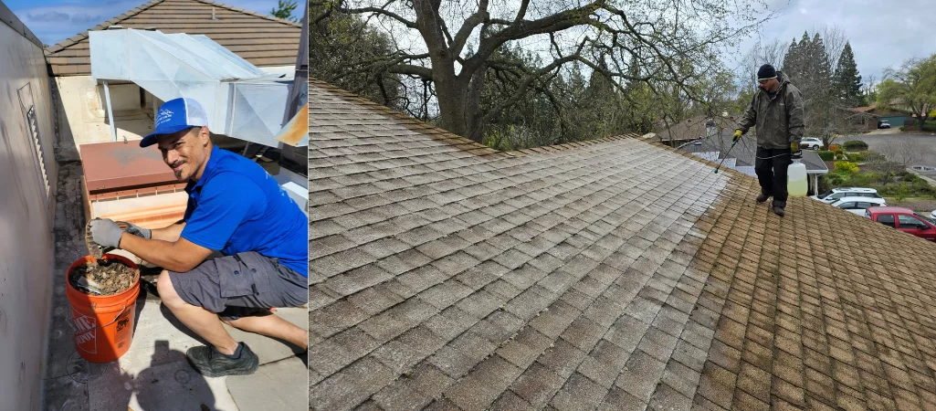 Roof Cleaning Services in Folsom and El Dorado Hills